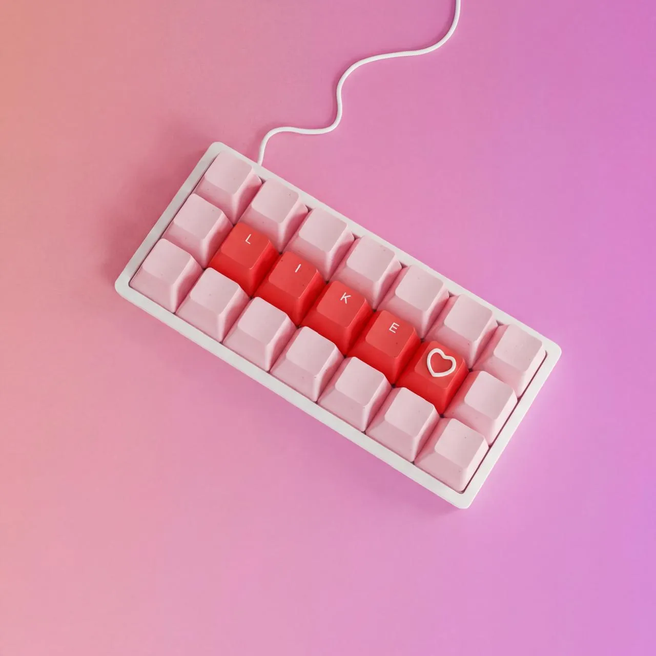 Social Media Management